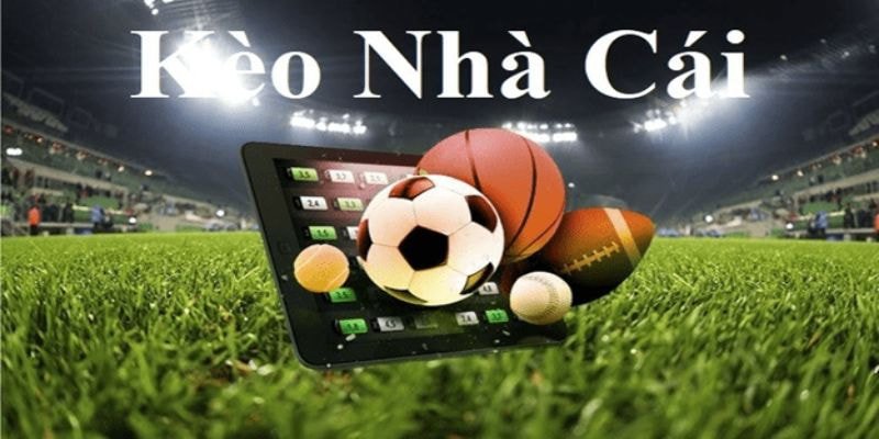 Kèo nhà cái là thuật ngữ chỉ các tỷ lệ cược mà nhà cái đưa ra cho từng trận đấu
