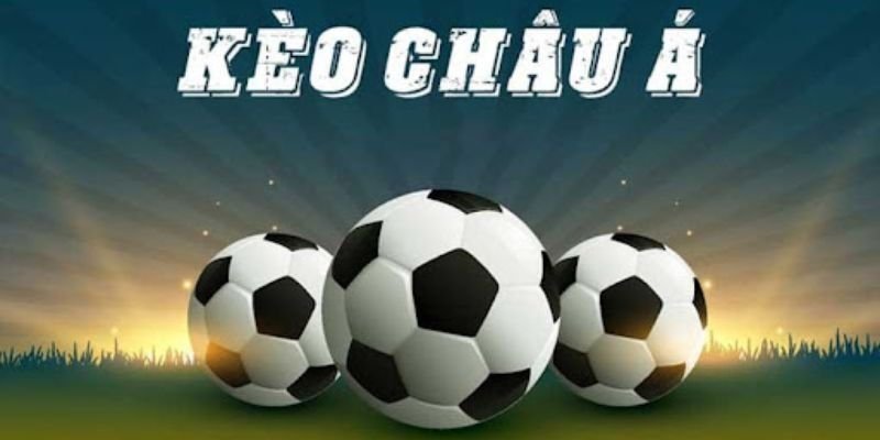 Yếu tố quan trọng khi học cách soi kèo nhà cái là hiểu rõ các loại kèo cược hiện nay